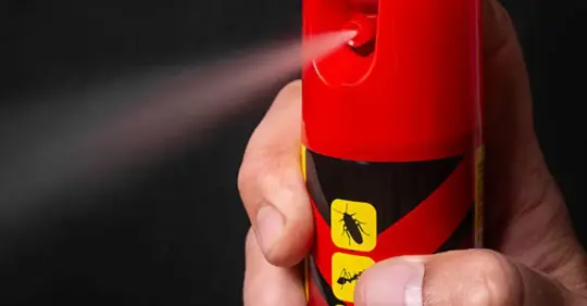 bug spray